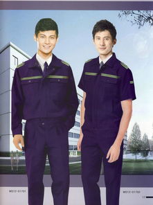 加厚蘇州工作長(zhǎng)袖套裝男工程服勞保服春秋工裝汽修工廠車間服